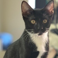 Photo of Amelie