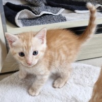 Photo of C1392 Colby