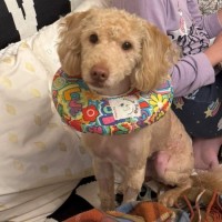 Photo of Alexander Silvanus