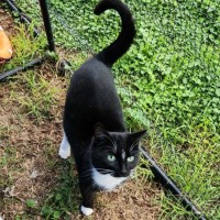 Photo of Buddy