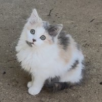 Photo of Tina