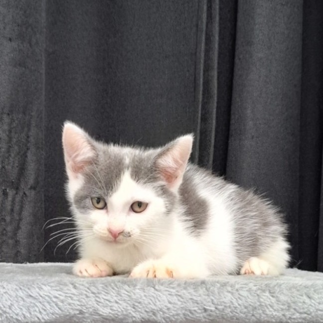 Photo of Natasha