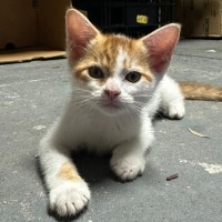 Photo of Philip