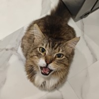 Photo of Rory