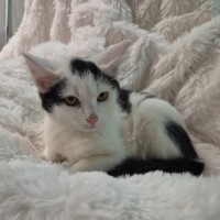 Photo of Levi