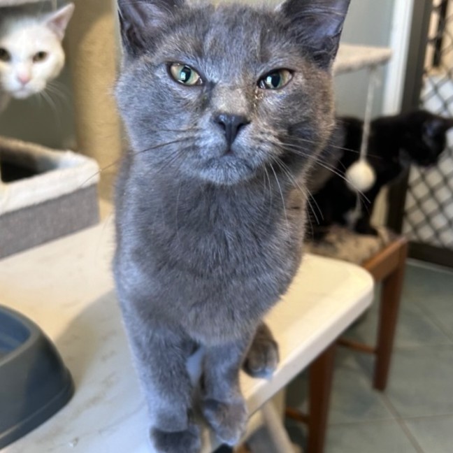 Photo of Seamus 🌈 