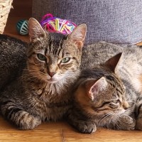 Photo of Tina 🌹🌹