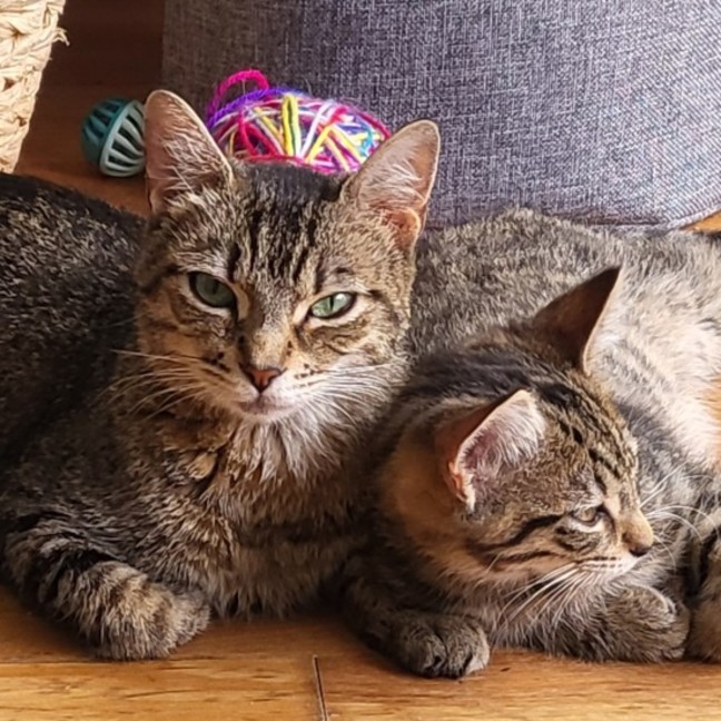 Photo of Tina 🌹🌹