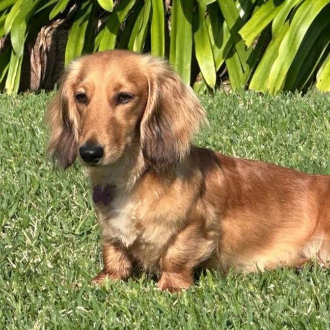 Photo of Sophie