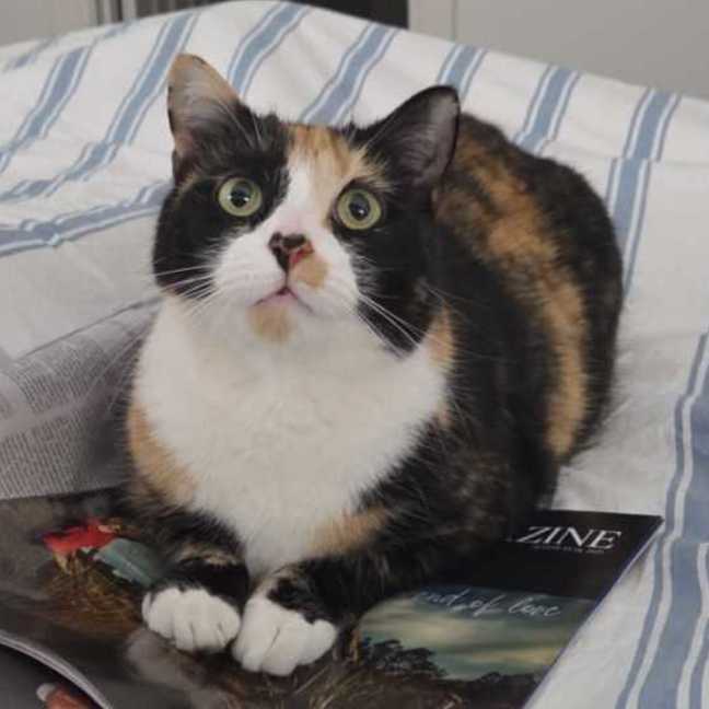 Photo of Lily