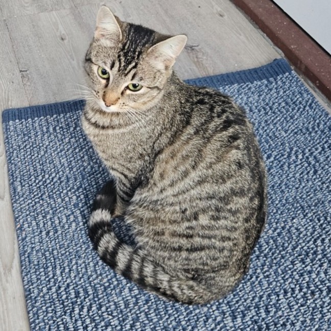 Photo of Tabitha