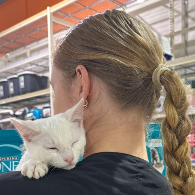 Photo of Cauliflower