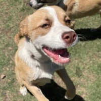 Photo of Sammy