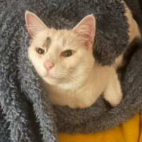 Photo of Anya
