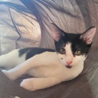 Photo of Manny And Munro