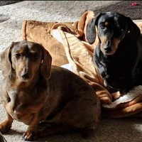 Photo of Penny And George