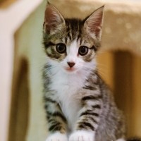 Photo of ☀️ Somersby ☀️