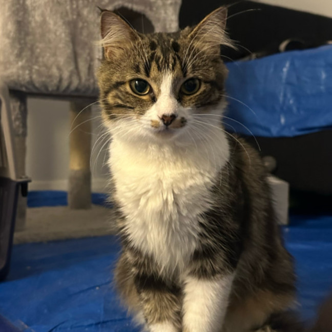 Photo of Mira 🌷🌺