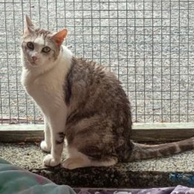 Photo of Sterling