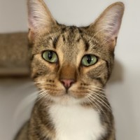 Photo of Clyde