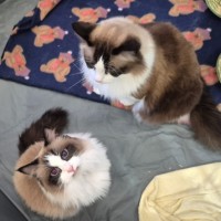 Photo of Bubbles And Lily 