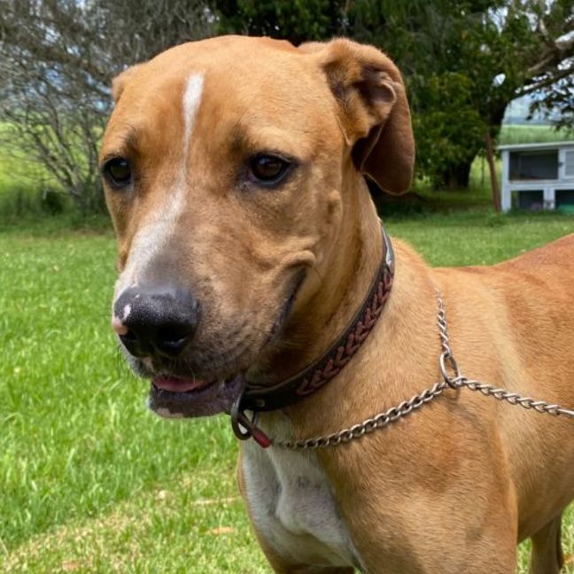 Photo of Princess Jay