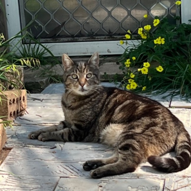 Photo of Jagger   Can Transport To You 