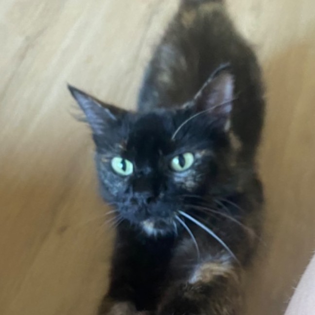 Photo of Heidi  🥰