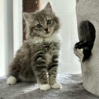 Photo of 🐠 Wanda 🐠