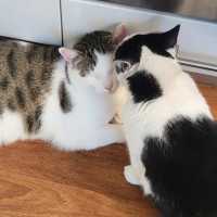 Photo of Bali & Roux