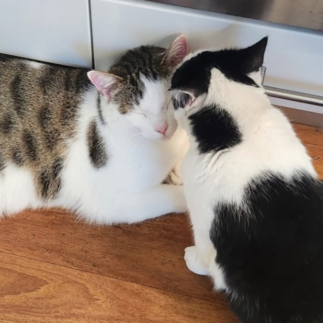 Photo of Bali & Roux