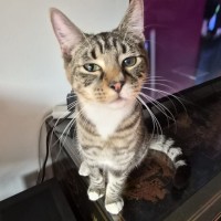 Photo of Nigel Mittens 