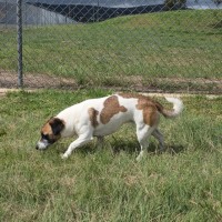 Photo of Skittles