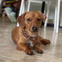 Photo of Riley