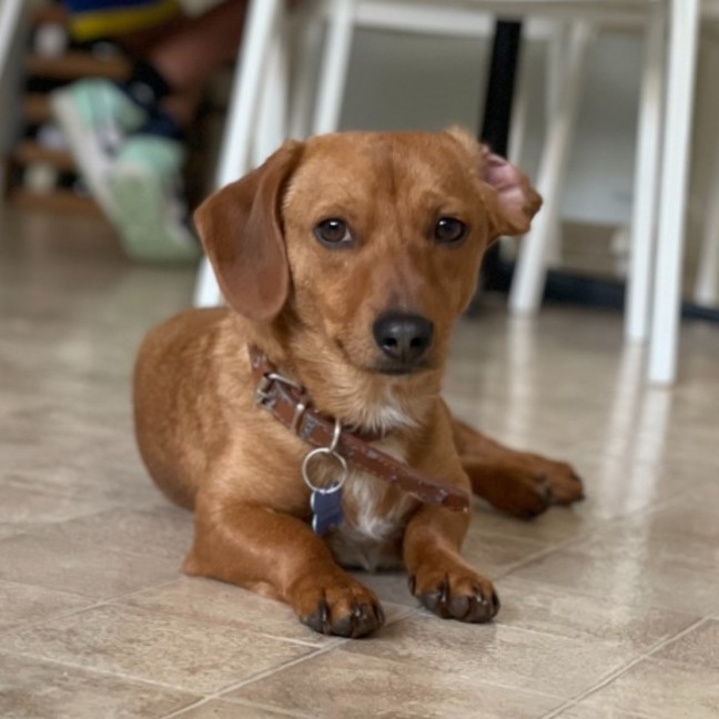 Photo of Riley