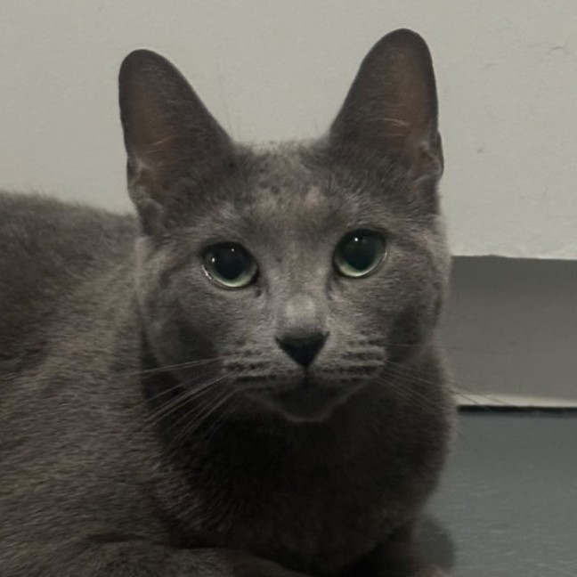 Photo of Marita 😻🧶😻