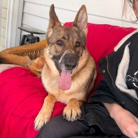 Photo of Trigger