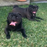 Photo of Lexi & Jay Jay