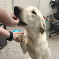 Photo of Bingo