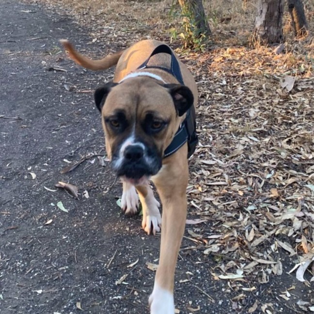 Photo of Bella 