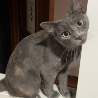 Photo of 💟 Silvee 💟