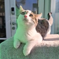Photo of Hazel