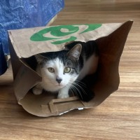 Photo of Jasper 💙