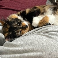 Photo of Bridget
