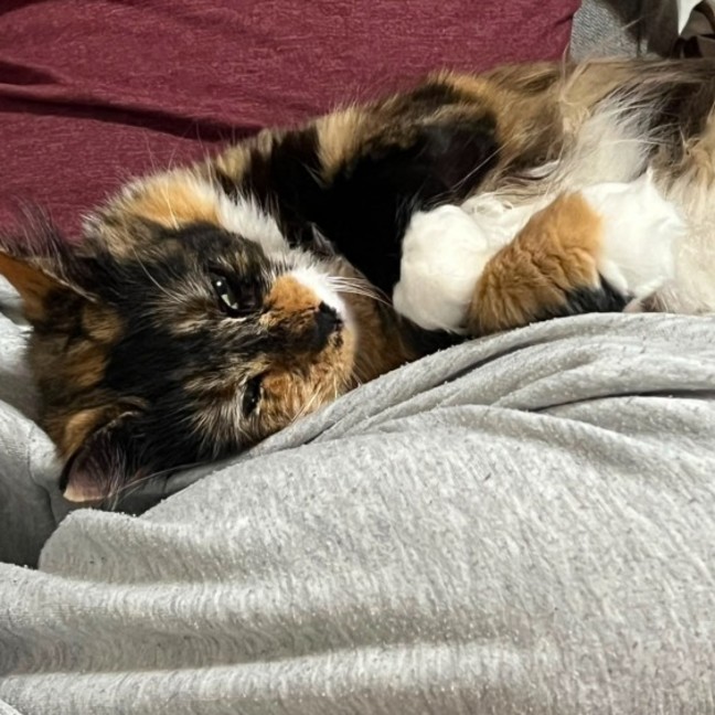 Photo of Bridget
