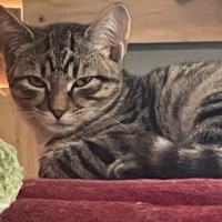 Photo of Derpie