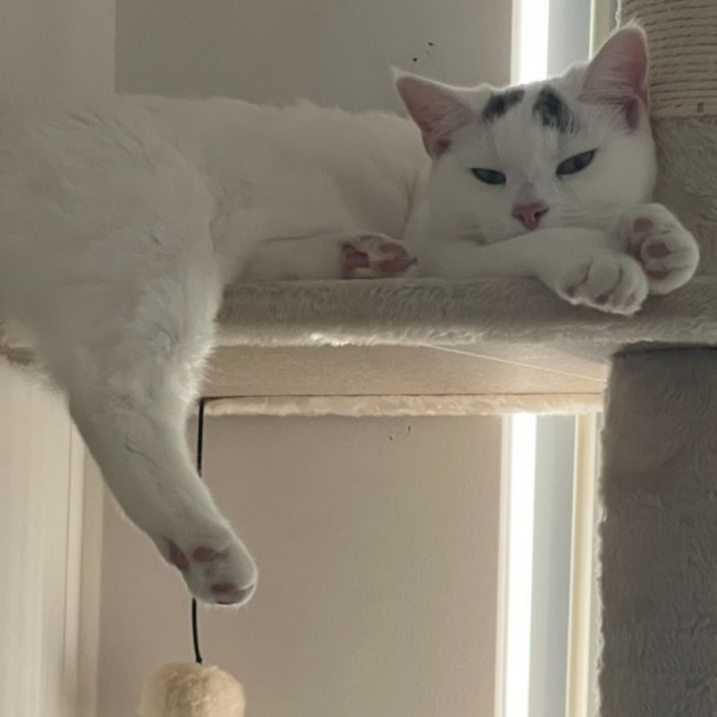 Photo of Layla & Lulu