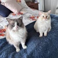 Photo of Cloudi And Zani