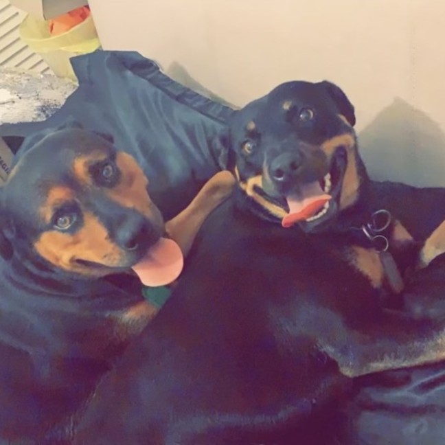 Photo of Ally And Lilly