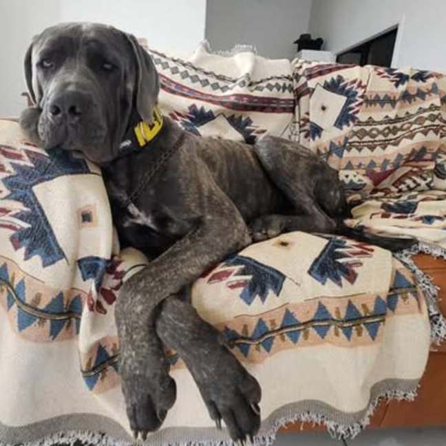 Photo of Zeus